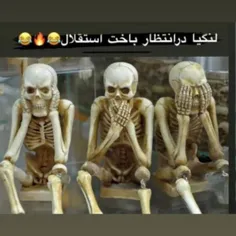 به بازی آخر هم امیدوار باشید لنگیا😂