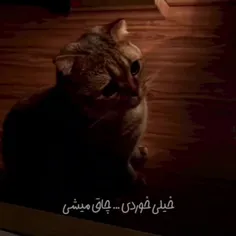 این رفتارش چقدر مثل یک نفریه که من خیلی دوسش دارم😂❤️‍🩹