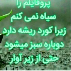 شخصی roya2224 21719211