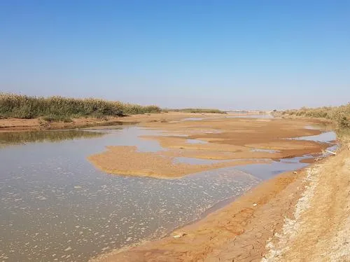 وضعیت این روزای رودخانه های خوزستان