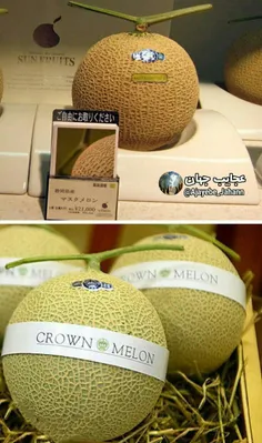 #گران قیمت ترین میوه جهان طالبی یوباری از کشور ژاپن که ار