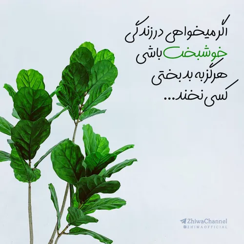 عکس نوشته s...o...m...a...y...e...h 28601040 - عکس ویسگون