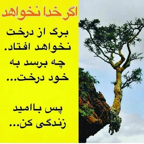 عکس نوشته ftemehzm 25390531 - عکس ویسگون