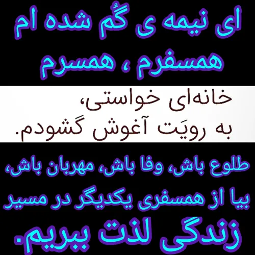 نیمه گمشده ام