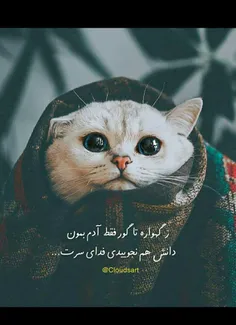 :)) ماچ رو لپات عاخه