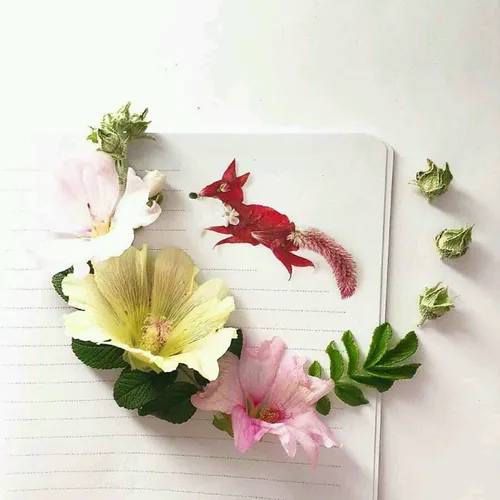 هنرنمایی با گل های پرپر شده
