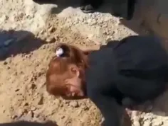کودک فلسطینی مادرش را که زیر آوار دفن شده است، آغوش می گی