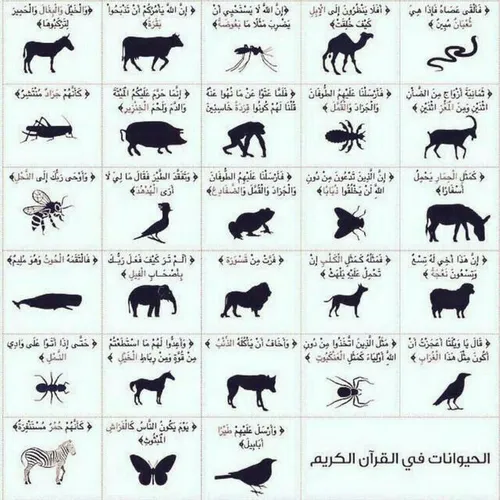 اسامی حیوانات ذکرشده در قرآن کریم