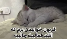 خداوکیلی خیلی جالبه