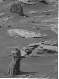 تصاویری از تنه درخت در #مریخ درحالی توسط دانشمندان رد شده