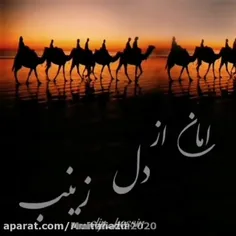 امان از دل زینب😭💔