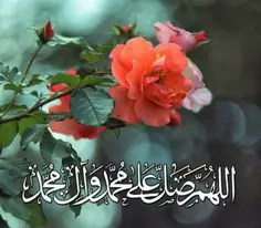 ♥️ #امام_حسن مجتبی علیه‌السلام فرمودند: 