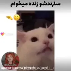 چه خوب شد😂