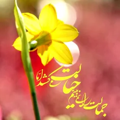 ❣جمالت را نمی‌بینم؛ 