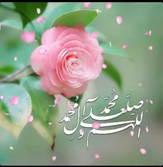 ‍ ‍ 🍃 🌹 صبح پنجشنبه تون معطر به ذکر 