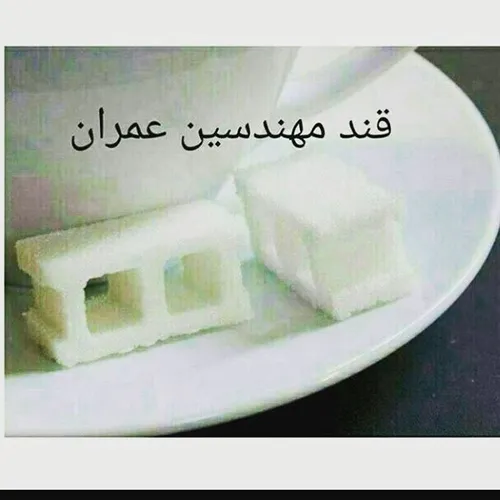 خخخخخخخخخ