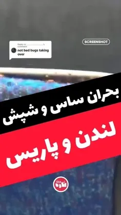 بحران ساس و شپش در مترو، اماکن عمومی و خونه های انگلیس و 