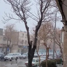 بارش برف اصفهان🌨❄️