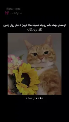 گل برای گل