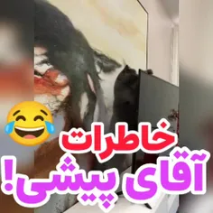 حاضری گربه بخری!!!