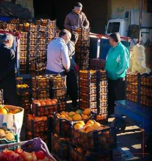 فروش مستقیم میوه باغداران در ۸۰ نقطه تهران