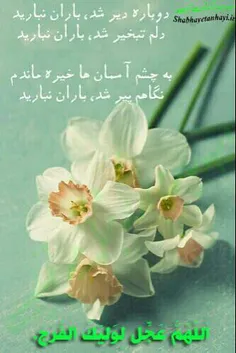 ✿♡✿الّلــهُمَّ صَـلِّ عَـلَی مُحَـمَّدٍ وَآلِ مُحـَمَّدٍ 