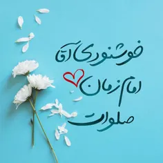 گوناگون mohsen-manteghi 32301234