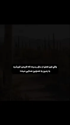 یک روز کاملا عادی در اهواز: