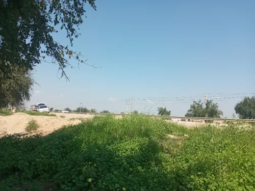 نمونه های عکاسیم از طبیعت 🥰💚💚🌲🌳🌸🌷⚘💐🌹