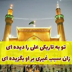 تو به تاریکی علی را دیده ای ...