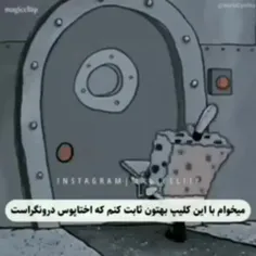 عجق من اختاپوس