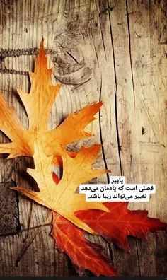 #پاییز #خزان_برگریزان