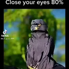 لعنتی گریم داره میگیره ....🥺🥺🥺