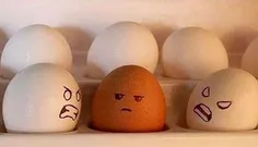 تبعیض تخم مرغی