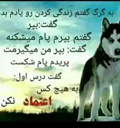 #پستای_قبلم_ببین_خوشت_اومد_فالو_کن #پست_جدید #تنهایی #تکس