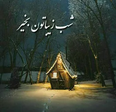 شب ها