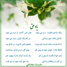 یاد حق 