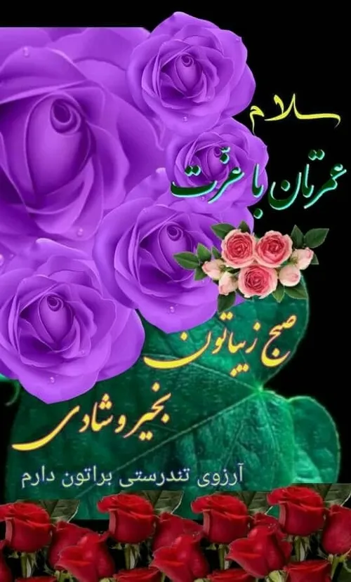  abbas9264 65516656 - عکس ویسگون