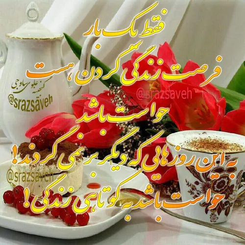 🌺 فقط یکبار فرصت زندگی کردن هست