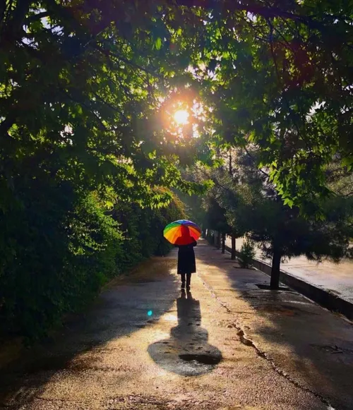 شیراز بارون تابستانی