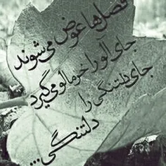 جای آلو را خرمالو گرفت 