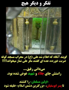 گویند آنگاه که اعلام شد #علی (ع) در محراب #مسجد کوفه ضربت