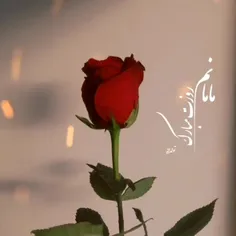 روزتــــــــــــ مــــــــبـــــــارك زنـــــدگــــي❤