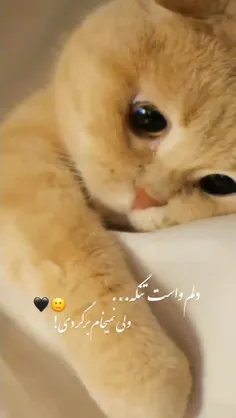 اله🤧💔