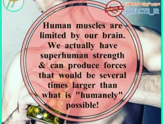 مغز انسان قدرت ماهیچه ها و مقدار استفاده از آنها را محدود