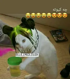 اینو نگاه😂😂😂😂