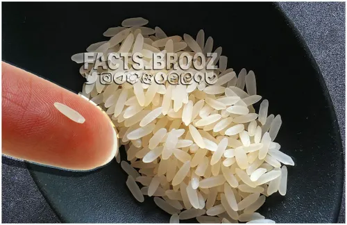 اگه هر ایرانی روزی فقط یه دونه برنج رو دور بریزه حدود ۶ ت