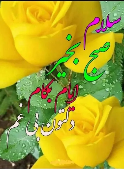 💙بسم الله الرحمن الرحیم💙