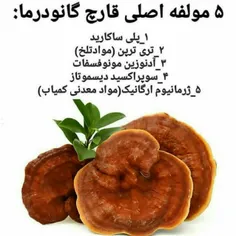 پنج مولفه گانودرما که باعث میشه 30 نوع بیماری رو درمان کن