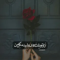 نزار اشکاتو هرکی ببینه،گل من🌹